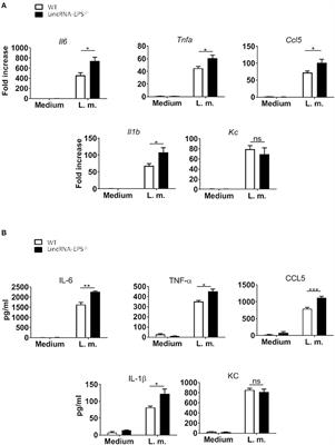 Long Non-coding RNA LincRNA-EPS Inhibits Host Defense Against Listeria monocytogenes Infection